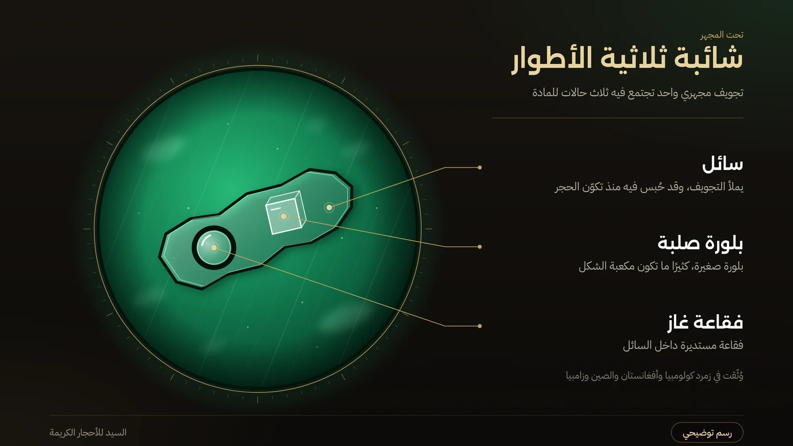 رسم توضيحي لتجويف داخل الزمرد يحوي سائلًا وفقاعة غاز وبلورة مكعبة