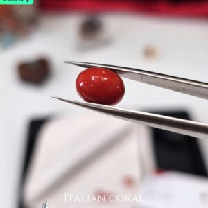 Italian Coral مرجان إيطالي طبيعي