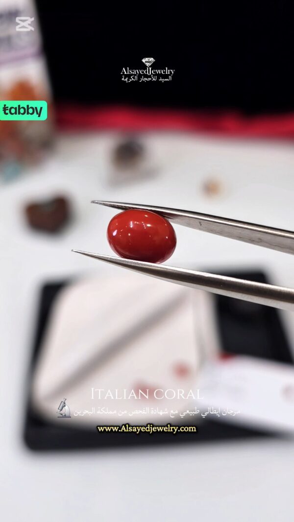 Italian Coral مرجان إيطالي طبيعي